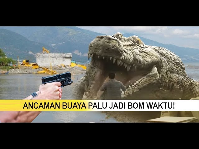 TEMBAK Mati Buaya Teluk Palu Sudah Saatnya, Ini 4 Fakta Meresahkan yang Terjadi !!